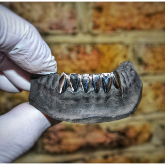 Custom Solid 6 Set Grillz