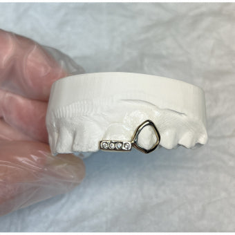 Window and Bar VVS Grillz