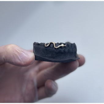 Scaly Snake Grillz