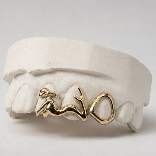 Mermaid And Window Grillz