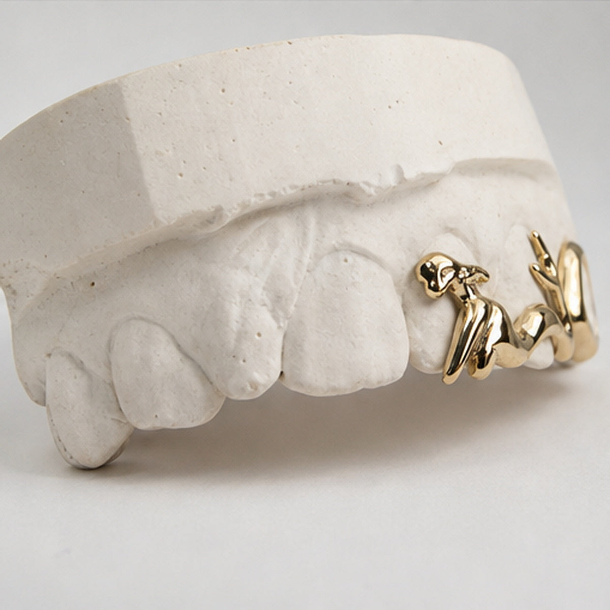 Mermaid And Window Grillz